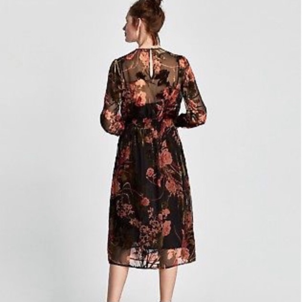 Zara floral velvet midi dress